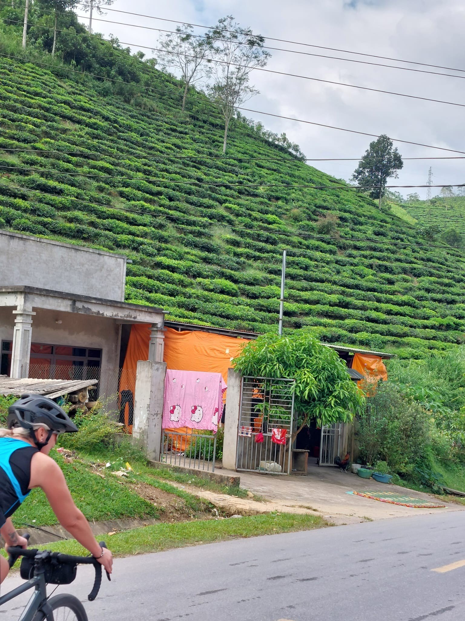 1778222959_cycle-tour-luang-prabang-to-hanoi-15-days (22).jpg